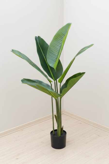 شجرة موز 120 سم